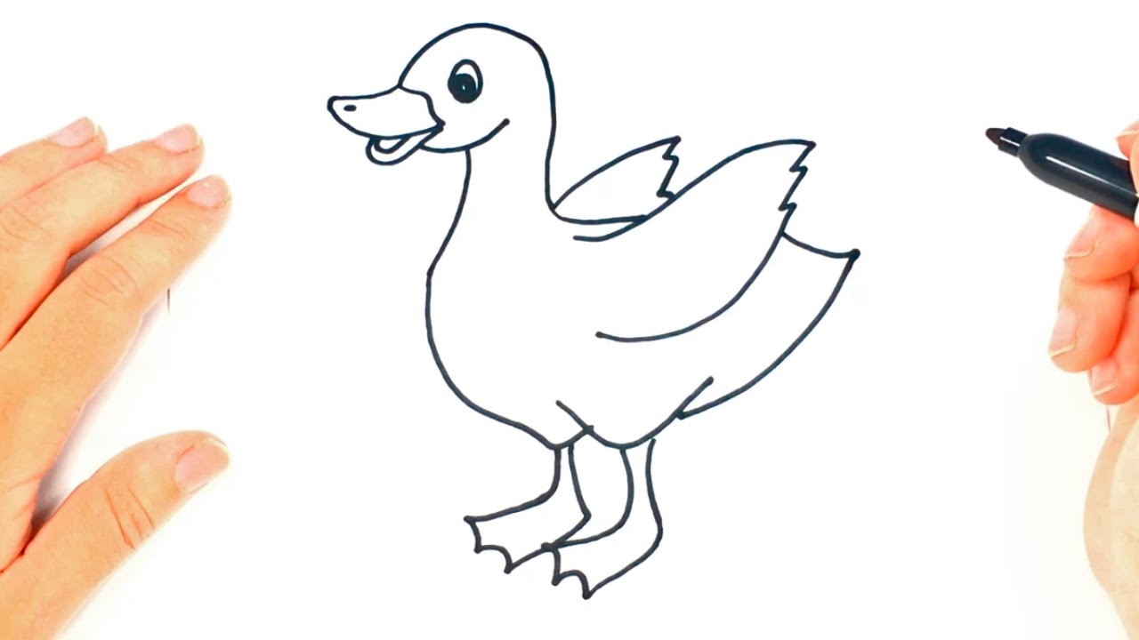 1280x720 how to draw a duckling step - Duckling Drawing