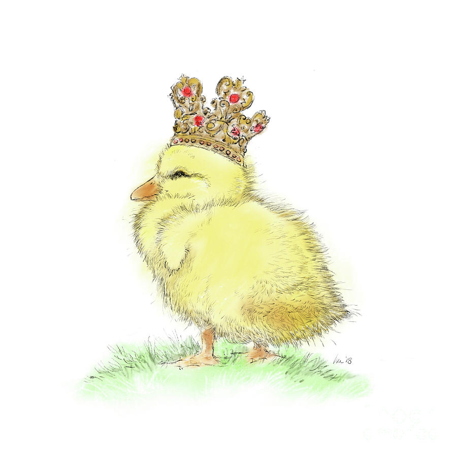 900x900 king duckling drawing - Duckling Drawing