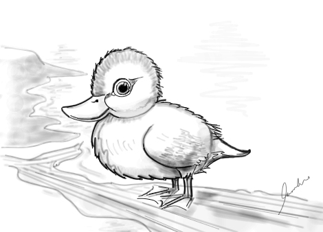 470x338 the little duckling - Duckling Drawing