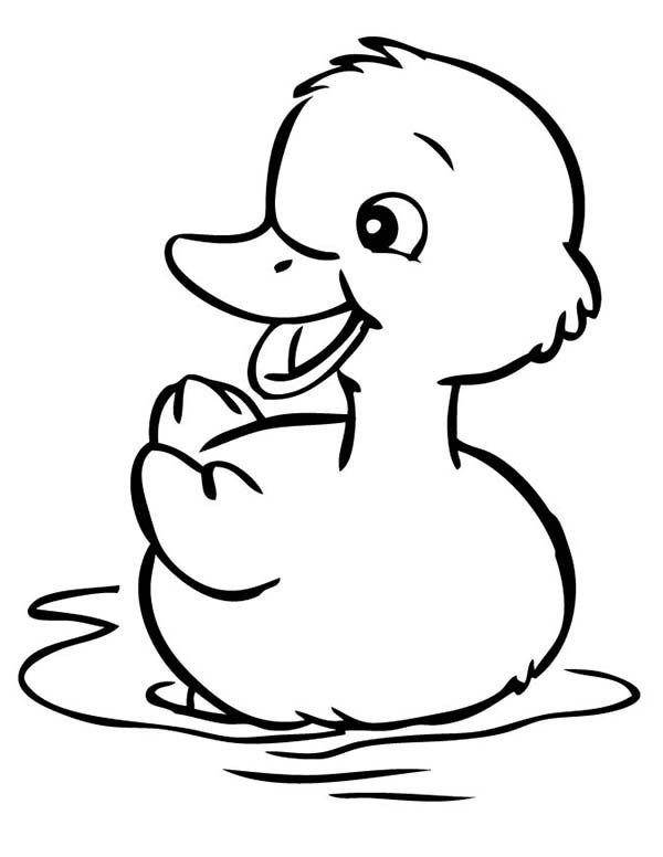 600x776 duckling drawing - Duckling Drawing