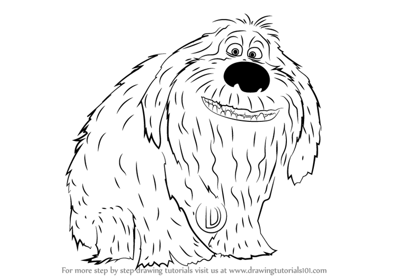800x566 Learn How To Draw Duke From The Secret Life Of Pets - Duke Drawing