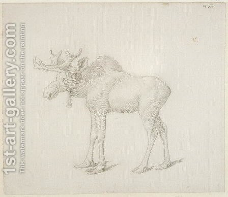 448x388 Drawing Of Duke Of Richmonds Second Bull Moose Painting - Duke Drawing