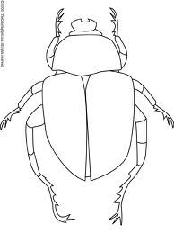 194x259 Drawing Of Dung Beetle Clearly Shows Different Body Parts - Dung Beetle Drawing