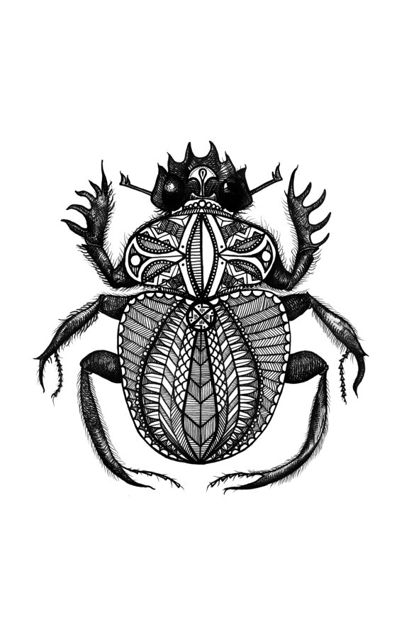570x881 Egyptian Patterned Scarab Dung Beetle, Black And White, Idealpin - Dung Beetle Drawing