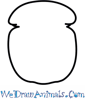 300x350 How To Draw A Dung Beetle - Dung Beetle Drawing