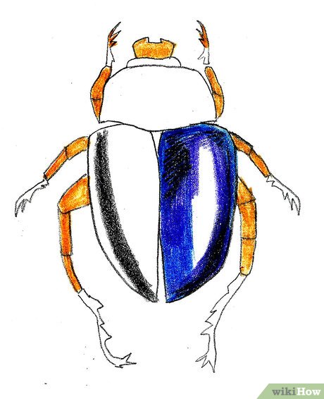 460x566 How To Draw A Scarab Beetle Steps - Dung Beetle Drawing