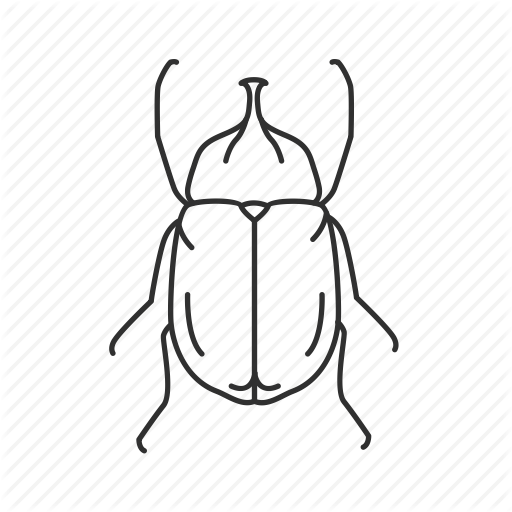 512x512 beetle, bug, dung beetle, flying insect, insect, small bug, ugly - Dung Beetle Drawing