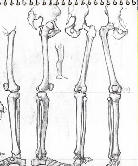 485x584 Sketchbook Doodles In Dungarees - Dungarees Drawing
