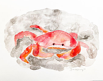 340x270 Dungeness Crab Art Etsy - Dungeness Crab Drawing
