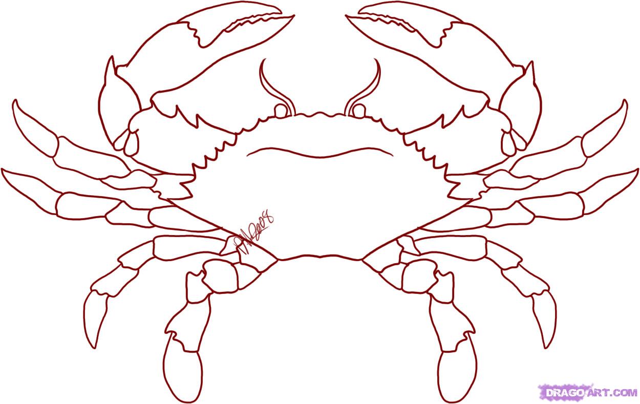 1250x789 How To Draw A Crab, Step - Dungeness Crab Drawing