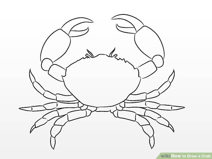 728x546 How To Draw A Crab Steps - Dungeness Crab Drawing