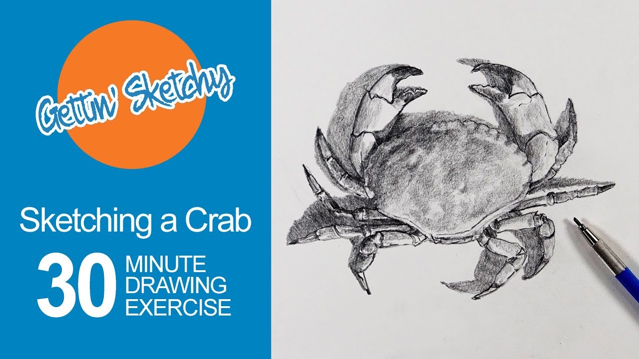 1280x720 How To Sketch A Crab - Dungeness Crab Drawing