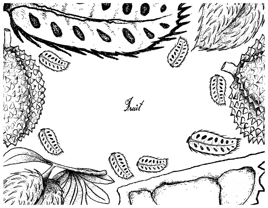 900x700 hand drawn frame of soursop and durian fruits drawing - Durian Drawing