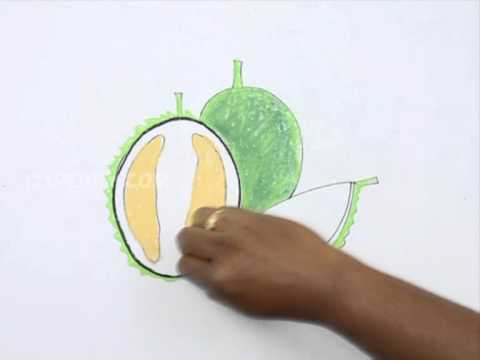 480x360 how to draw durian - Durian Drawing