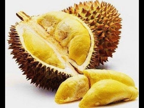 480x360 how to draw durian easily - Durian Drawing