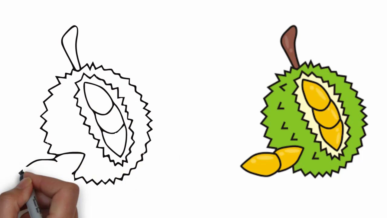 1280x720 how to draw durian step - Durian Drawing