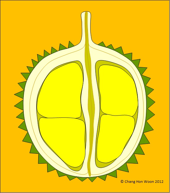 551x625 niederlande infos pictures of durian drawing - Durian Drawing