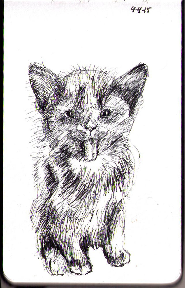 642x1000 drawing of dust bunny the cat one drawing daily - Dust Drawing