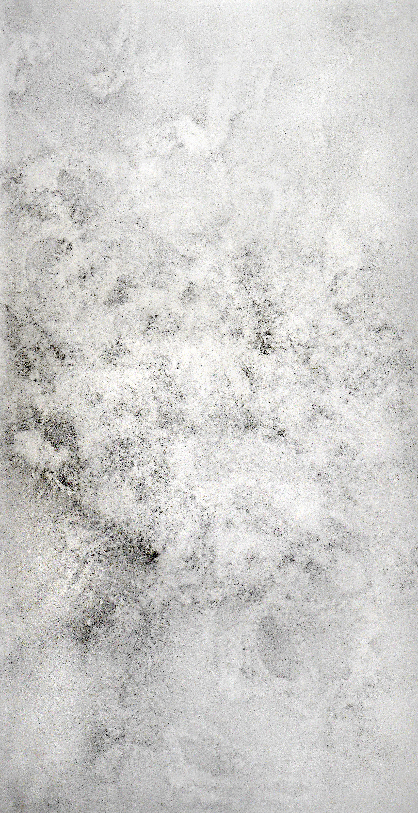 1698x3297 Moth Drawings Scott Nedrelow - Dust Drawing