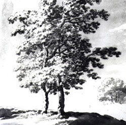 249x246 fresh woods and pastures new century dutch landscape - Dutch Drawings