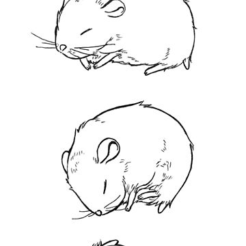 360x360 four states of dwarf hamster drawing t shirt - Dwarf Hamster Drawing