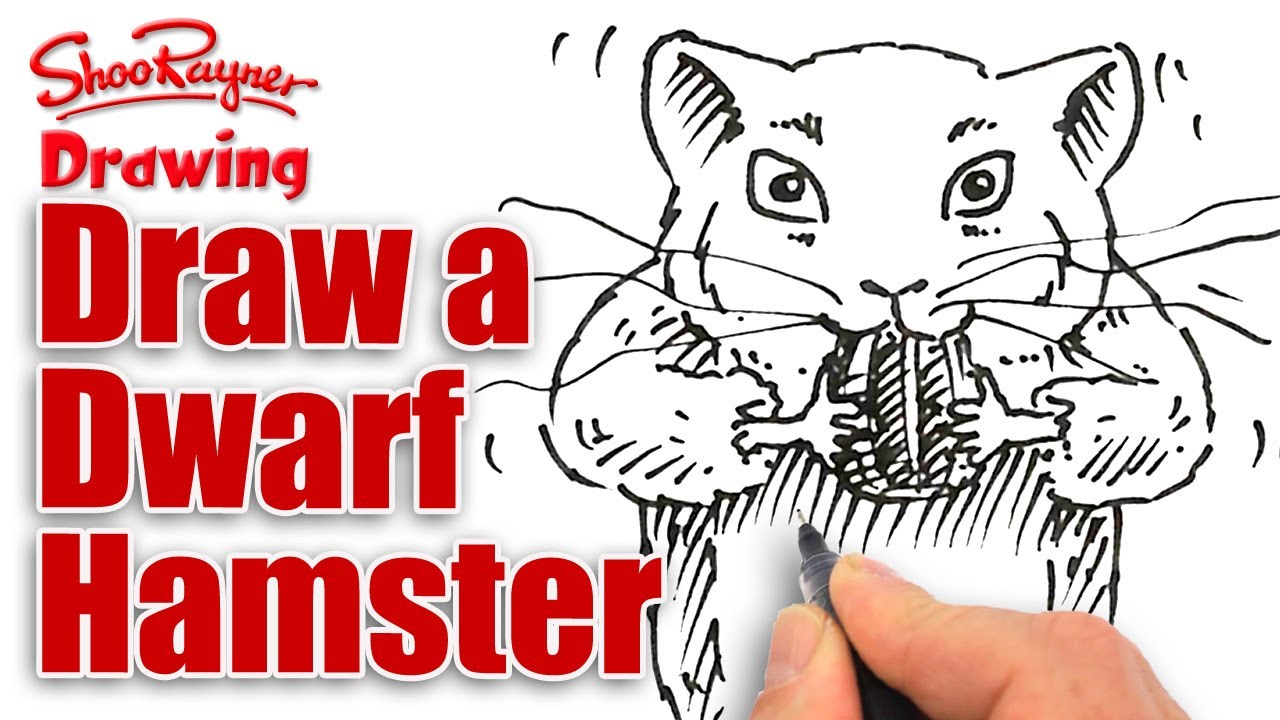 1280x720 how to draw a dwarf hamster - Dwarf Hamster Drawing