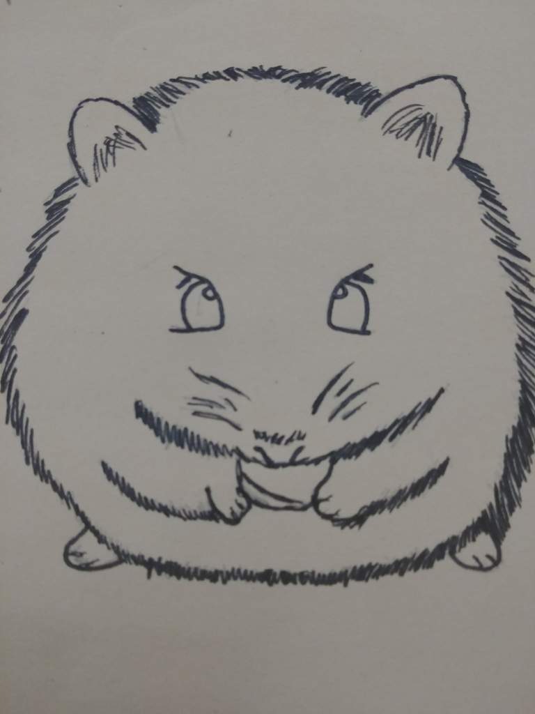 768x1024 robo dwarf hamster art amino - Dwarf Hamster Drawing