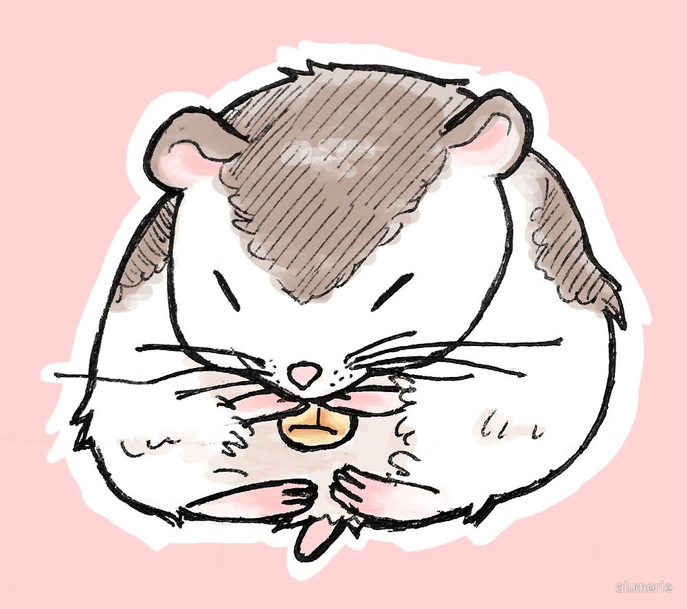1000x887 cute dwarf hamster eating sketch drawing - Dwarf Hamster Drawing