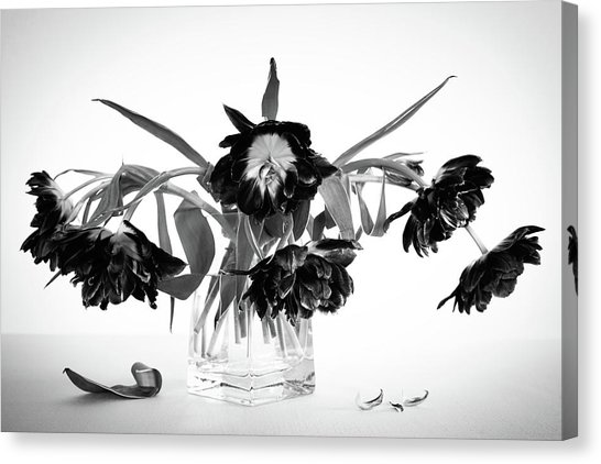 546x422 dying flower canvas prints - Dying Flower Drawing