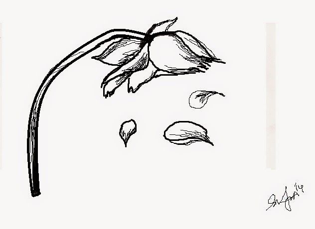 632x460 Wilted Flower Art And Photography In Flower Sketches - Dying Flower Drawing