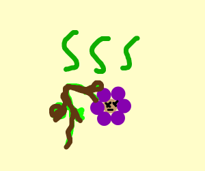 300x250 dying flower drawing - Dying Flower Drawing