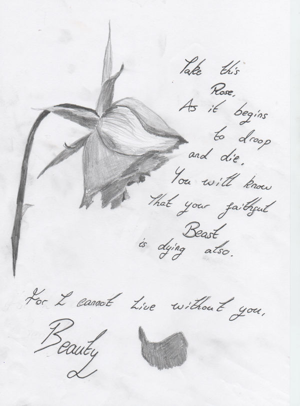 600x811 dying rose - Dying Rose Drawing