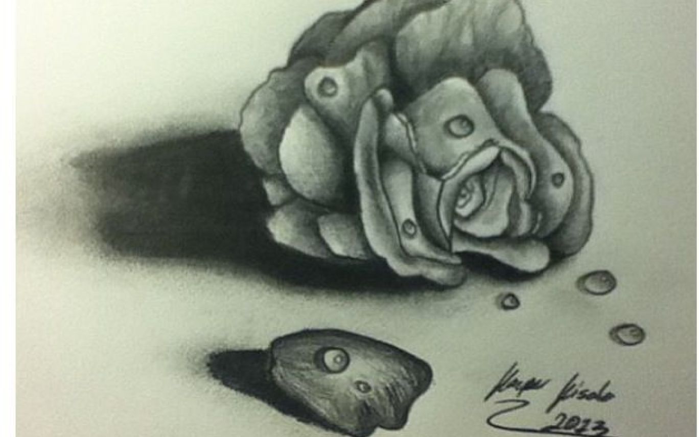 Dying Rose Drawing at Explore collection of Dying