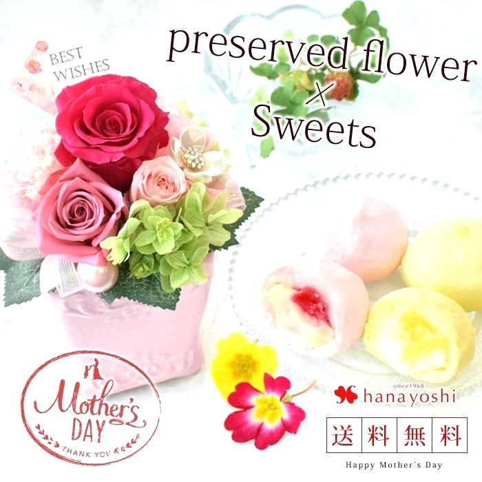 700x700 never dying rose s mother preserved flowers gift never dying - Dying Rose Drawing