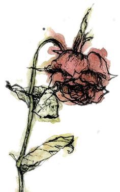 236x377 A Wilted Rose Rose Paintings, Cool Paintings - Dying Rose Drawing
