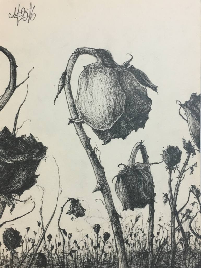 770x1027 Dead Roses Drawing - Dying Rose Drawing