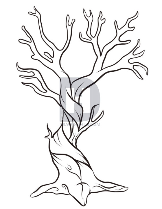 Step By Step Easy Dead Tree Drawing ~ Drawing
