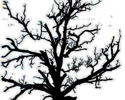 400x320 Naturalism - Dying Tree Drawing