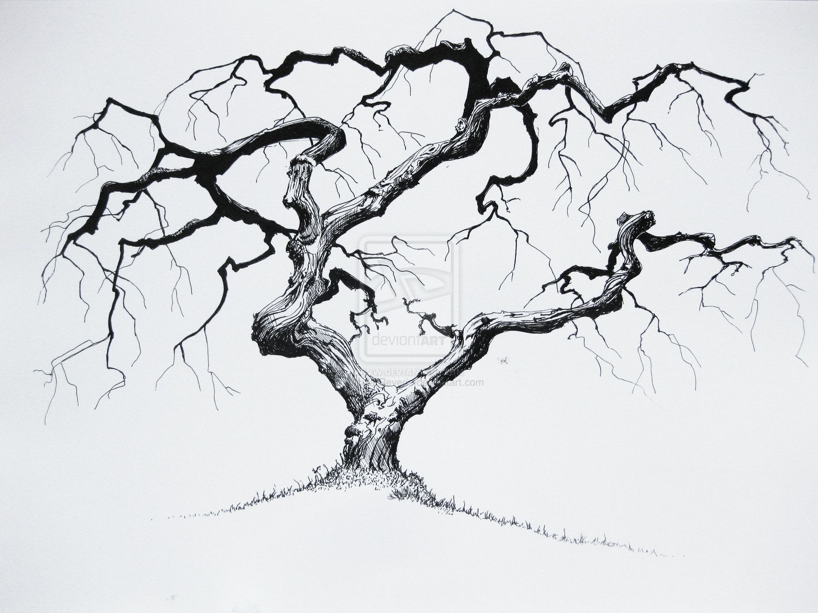 1600x1200 Pix For Gt Cherry Bonsai Tree Drawing Trees Drawings, Tree - Dying Tree Drawing