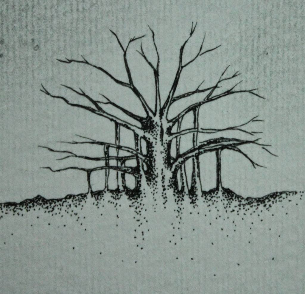 Dying Tree Drawing at Explore collection of Dying