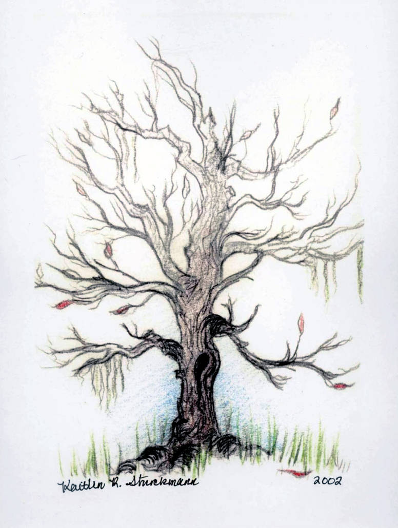 776x1030 the dying tree - Dying Tree Drawing