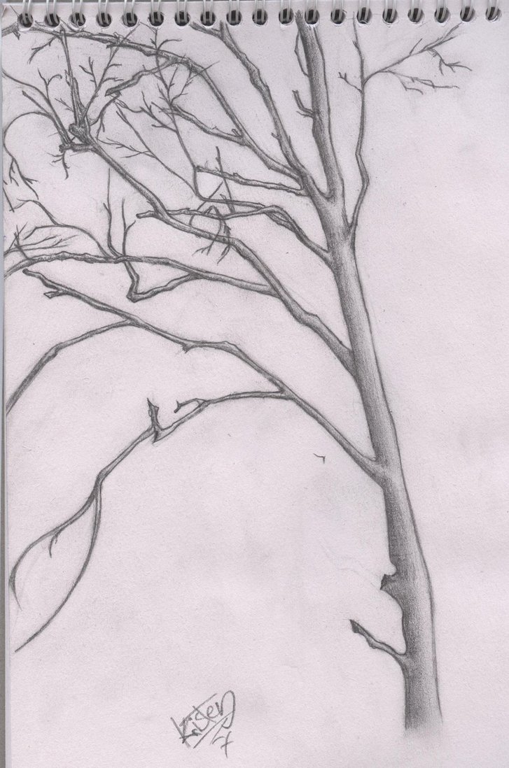 Dying Tree Drawing at Explore collection of Dying