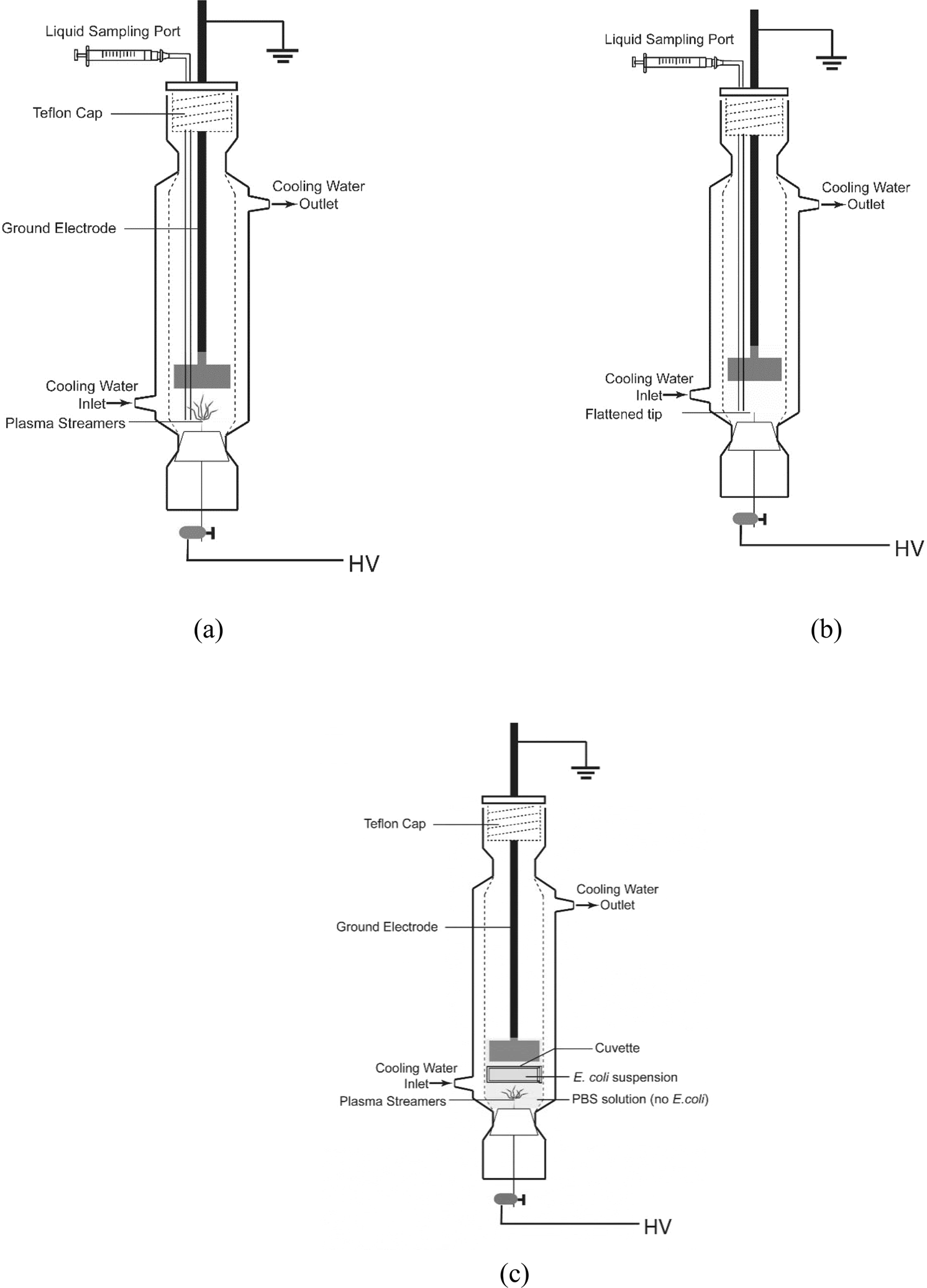 1492x2073 mechanism of e coli inactivation - E Coli Drawing