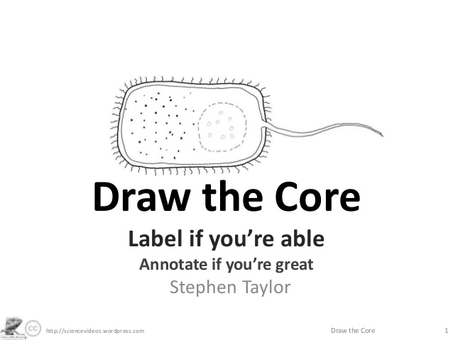 638x479 draw the core - E Coli Drawing