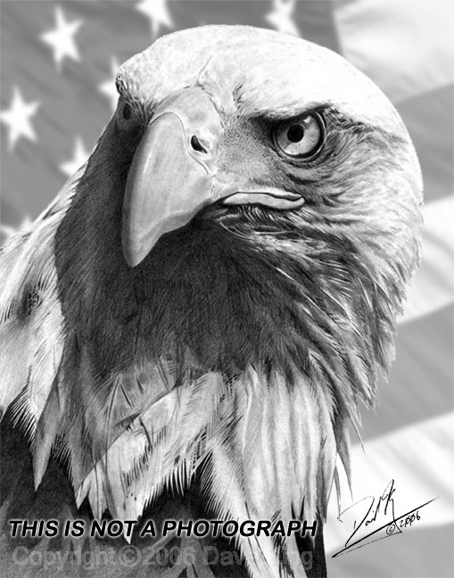 Eagle And Flag Drawing