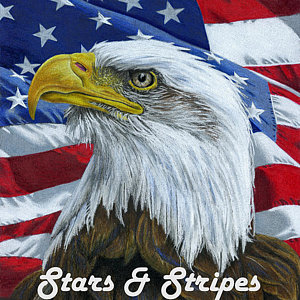 300x300 Bald Eagle American Flag Drawings Fine Art America - Eagle And Flag Drawing