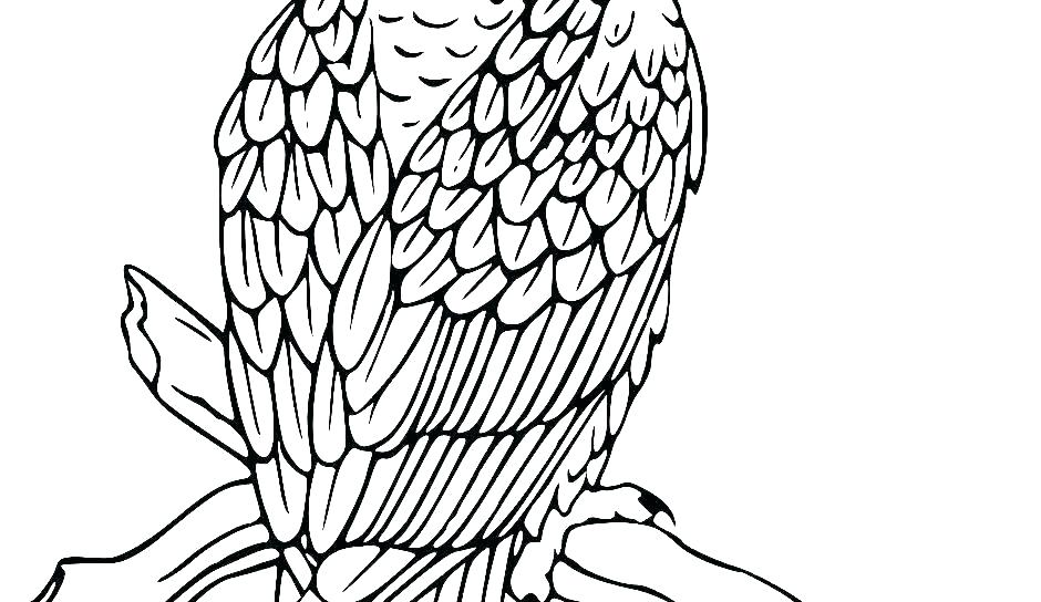 940x544 Bald Eagle And Flag Coloring - Eagle And Flag Drawing