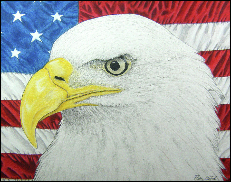 900x708 Eagle And Flag Drawing - Eagle And Flag Drawing