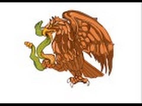 480x360 How To Draw The Eagle From The Mexican Flag - Eagle And Flag Drawing