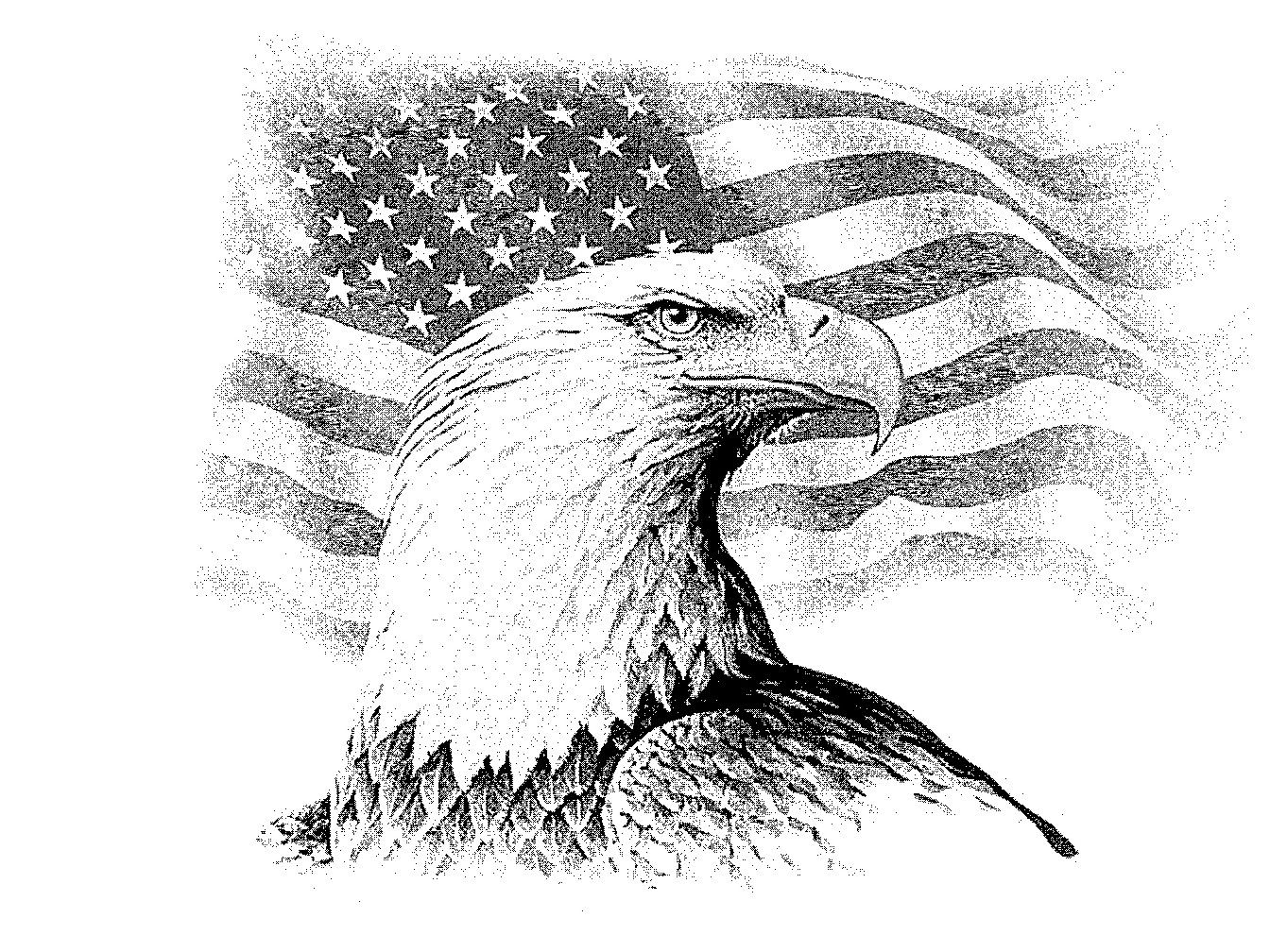 1344x1008 Ideas Eagle Drawing, Flag Coloring Pages - Eagle And Flag Drawing